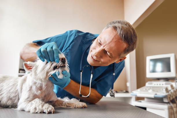 Best Weekend Emergency Dentist in Rockport, IN